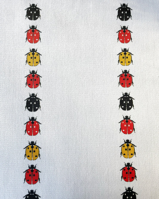 Ladybird in colour